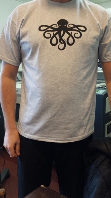 Grijs Shirt met transfer klein